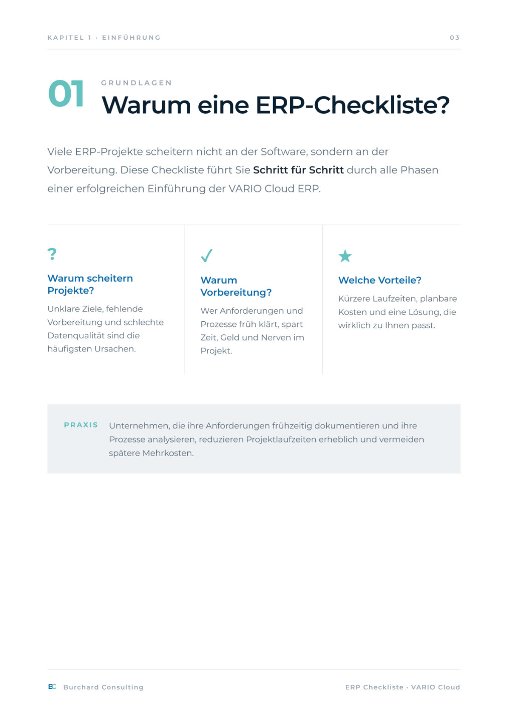 ERP-Checkliste – Vorschau Seite 3