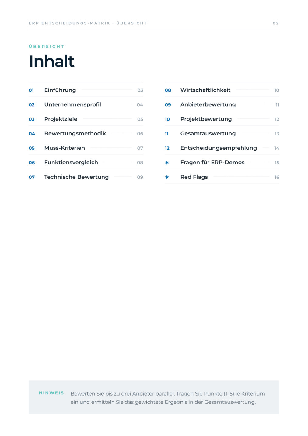 ERP-Entscheidungsmatrix – Vorschau Seite 2