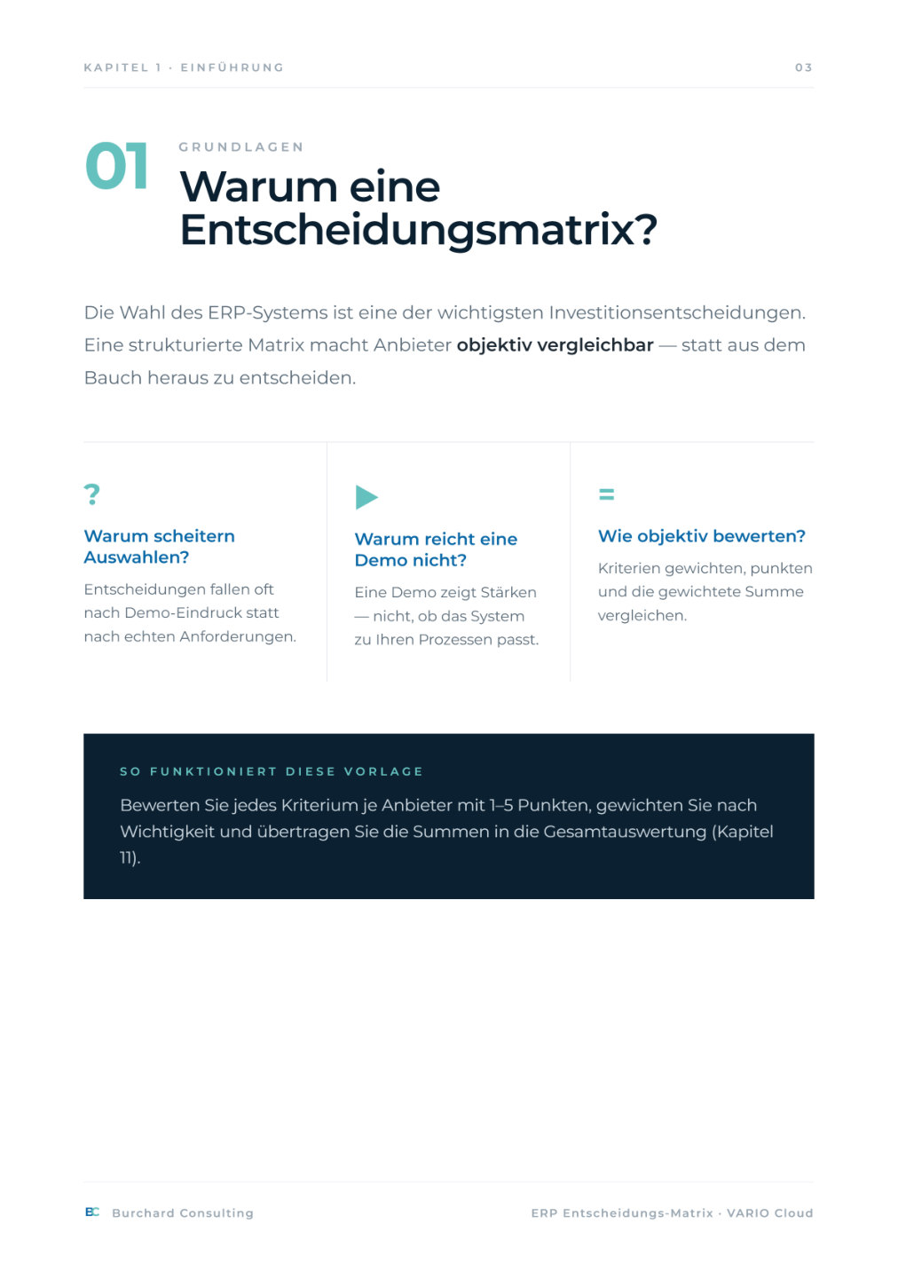 ERP-Entscheidungsmatrix – Vorschau Seite 3