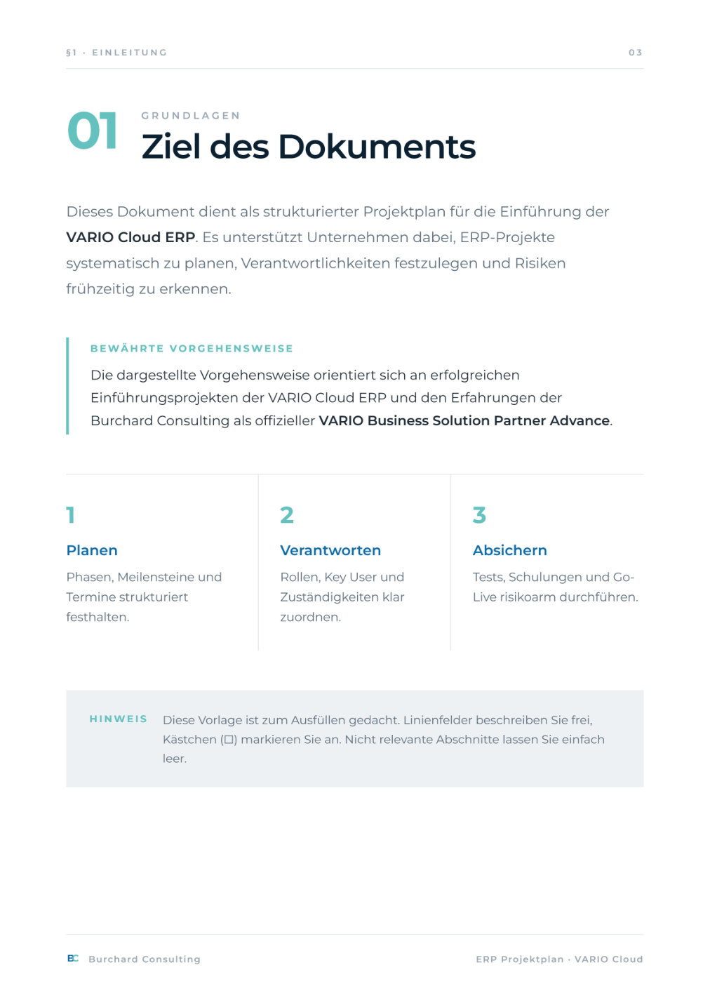 ERP-Projektplan – Vorschau Seite 3